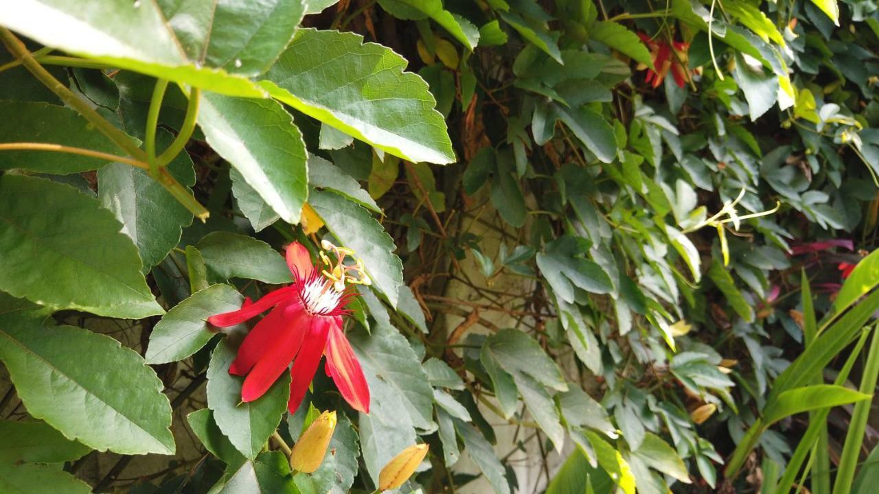 Villa Sindu Ubud Kültér fotó
