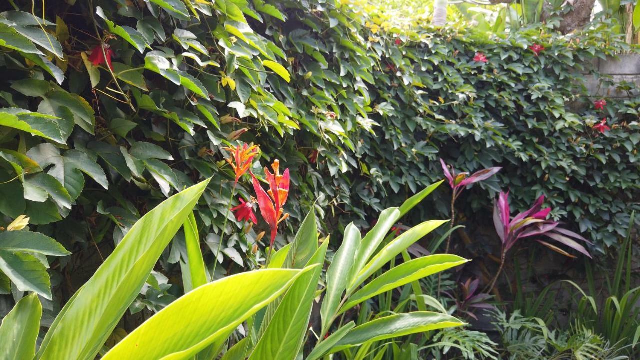 Villa Sindu Ubud Kültér fotó